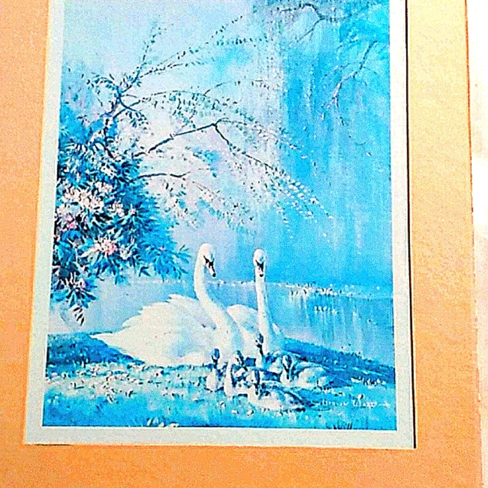 Swan print with matt